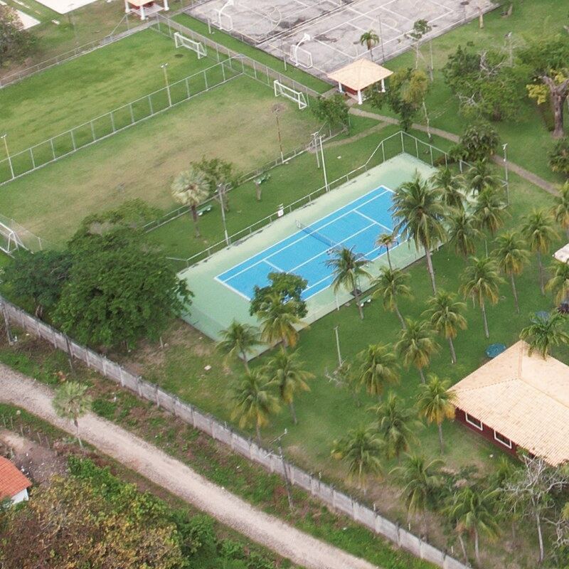 Quadra de tênis cercada por coqueiros e campo de futebol